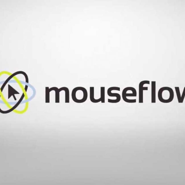 Mouseflow website Analytics